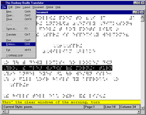 Bilde av Duxbury Braille Translator